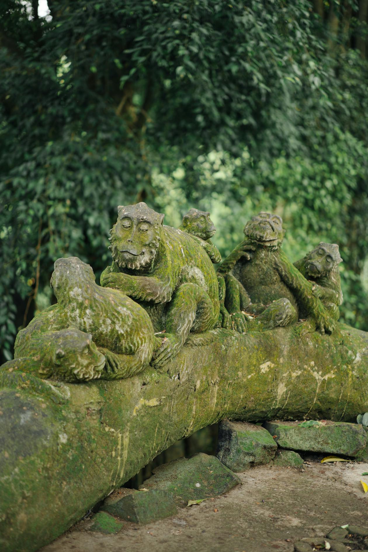 Statues couvertes de mousse dans la forêt sacrée des singes d'Ubud Bali