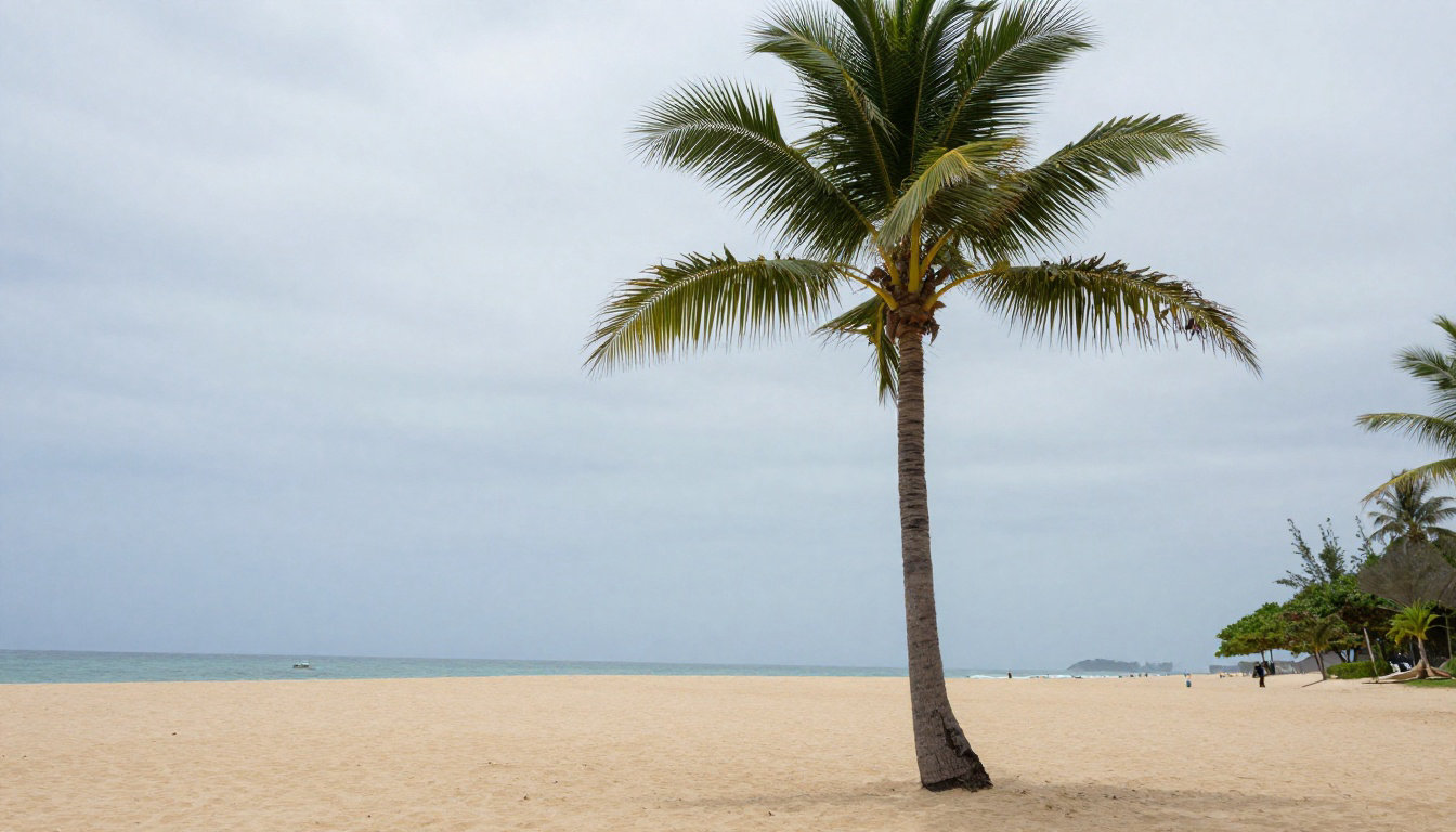 Le duel des côtes : où poser sa serviette selon ses envies ?